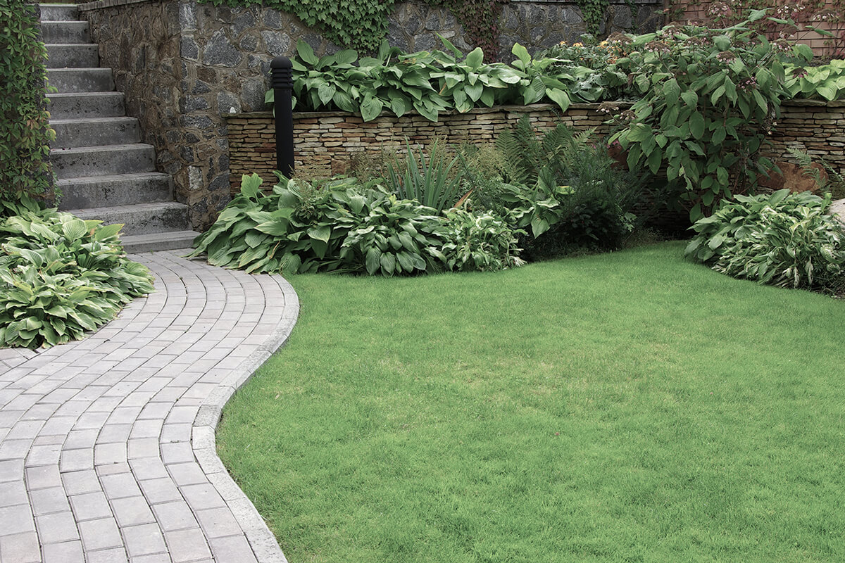 Welcome to Timeless Landscaping